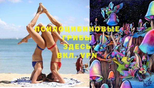 МДПВ Алзамай