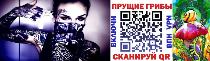 магазин  наркотиков  Каменск-Уральский  Галлюциногенные грибы мицелий 